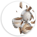 Komplex EcoCeramide Meadowfoam